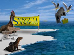 SeaGullAirways